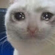 Catnugget avatar