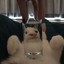bruhfeed