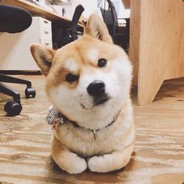 林黛玉倒拔垂杨柳