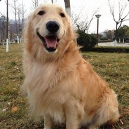 电竞馆GTA5扛把子