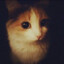melty^^
