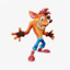 Crash BandiCunt