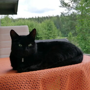 Iceman- - steam id 76561199012101294