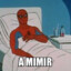 spidelman dolmil