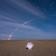 元芳，你怎么看