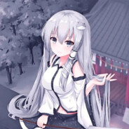 崽崽