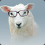 smart sheep