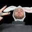 Echter Hase