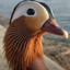 ChromaticDuck25