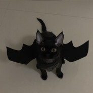 我真不是迪丽热巴