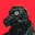 hellper