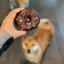 ChocolateSprinkleDonut