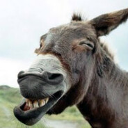 DonKey avatar