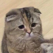 99 - steam id 76561198248671622