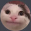 修猫