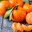Mandarin