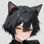 Nox Silverfox