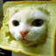 CAT Sandvich