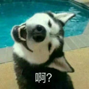 狼群中的哈士奇