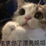 NCPD驻佛山办事处四级警