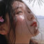 樱花不及張姑娘