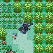 jakub.kozielski012CASE.GIFT