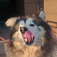 天天幻想自己被绿