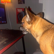 Tito