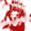 EagleEYE O_^