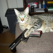 CURIOSITY THE CAT KILLER