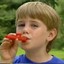 Kazoo Kid