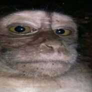 бибизьян#hustlerust