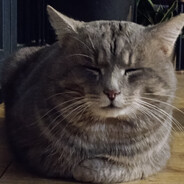 Igor