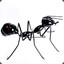 cypherkey