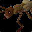 Giant ant