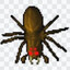Giant Spider