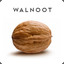 Walnoot