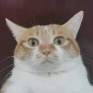 好大个烟锅巴踩不熄