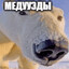 МЭДУУЕДЫ