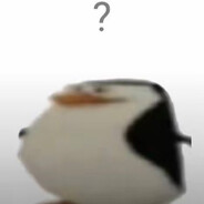eeegg667 avatar