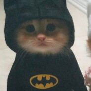 REGELEEEE MR. DESPA - steam id 76561198307295223