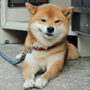 告诫盗号等的垃圾狗，