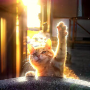 能力越小责任越小