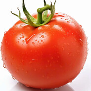 TOMATO