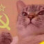 ☭KGB still watching you