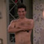 The Naked Man - Ted Mosby