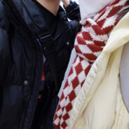 叶绿体机制还是我机智