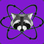 ATOMIC RACOON