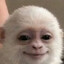 monky