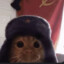 прыгающий кенгур